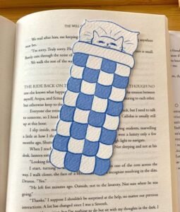 10 BIRTHDAY GIFT IDEAS FOR BOOK READER 1 WhatsApp Image 2025 10 25 at 4.15.48 PM